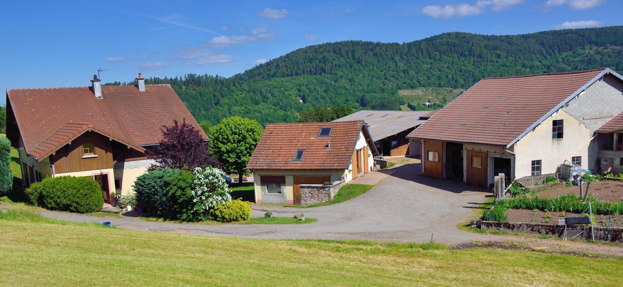 Hebergement Francois Mathieu Saint-Maurice-sur-Moselle Exterior photo