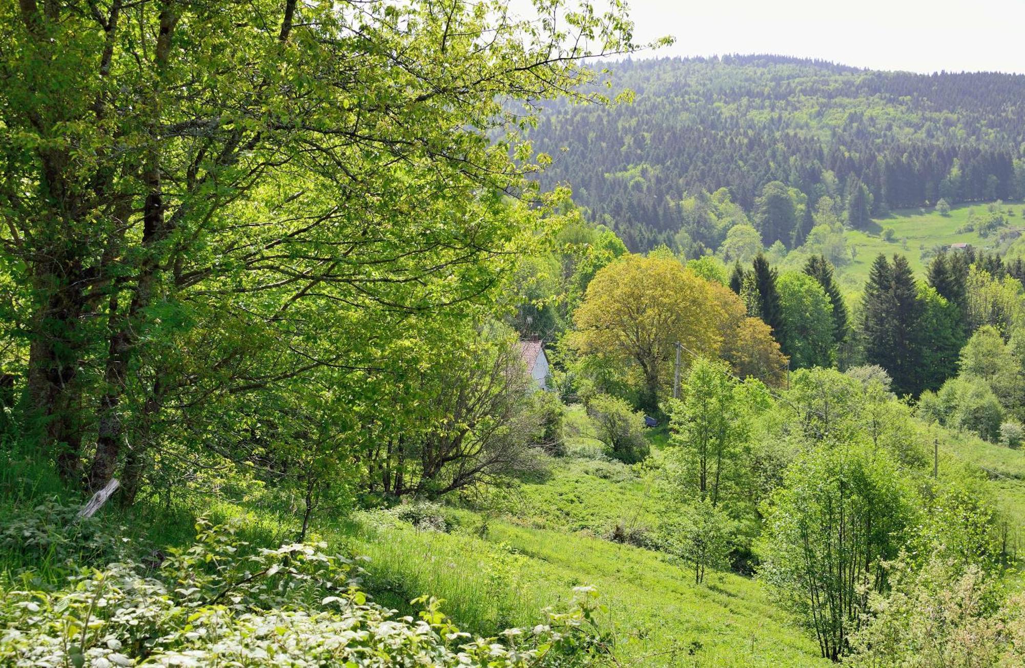 Hebergement Francois Mathieu Saint-Maurice-sur-Moselle Exterior photo
